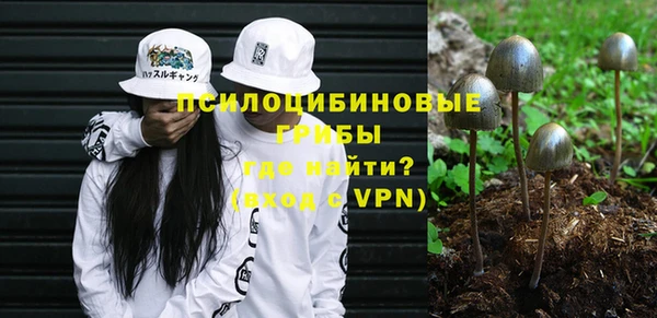 амф Алексеевка