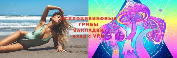 2c-b Алзамай