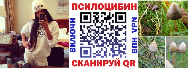 Галлюциногенные грибы Psilocybe  Зеленоградск 